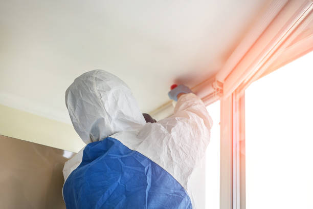 Best Commercial Mold Inspection in USA